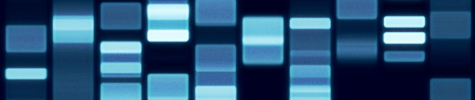 Excel DNA